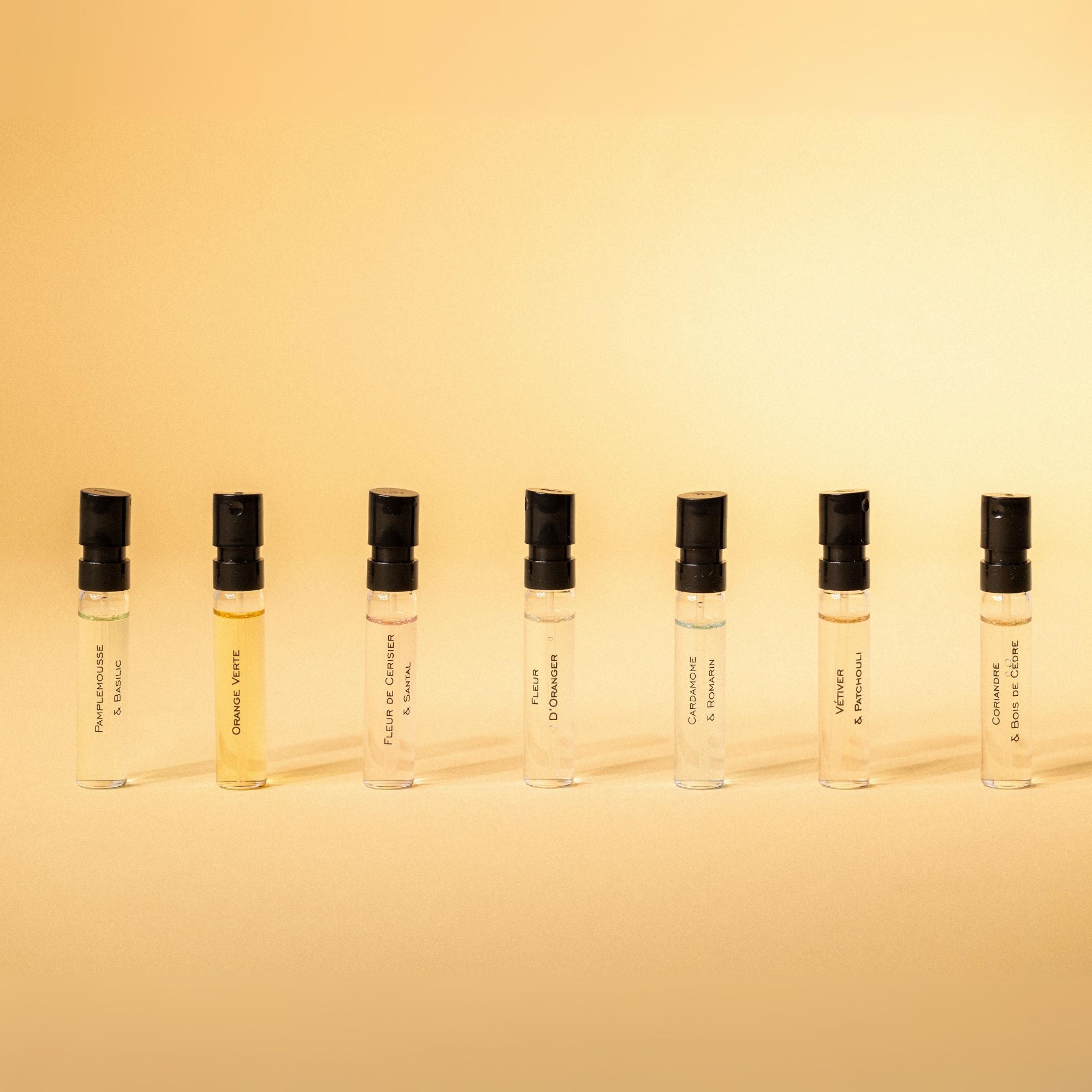 Discovery Set - 7 samples